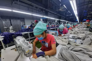 Công ty TNHH MTV Panko Tam Thăng, tỉnh Quảng Nam đã được giảm mức đóng từ 1% xuống 0% vào Quỹ BHTN với số tiền giảm đóng là 3,6 tỷ đồng ngay trong ngày đầu tiên thực hiện Nghị quyết số 116 của Chính phủ. Công ty này hiện có 6.631 NLĐ. (Ảnh: Thanh Dũng- BHXH tỉnh Quảng Nam)