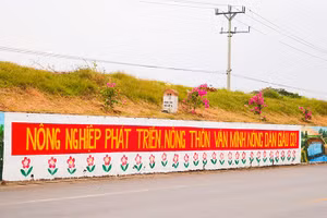 Đảm bảo an toàn đê và công trình thủy lợi mùa mưa lũ