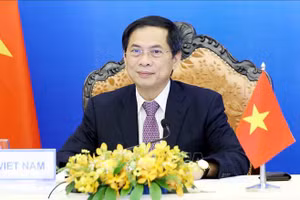 Ngành Ngoại giao-Lực lượng chủ lực và xung kích trên mặt trận đối ngoại