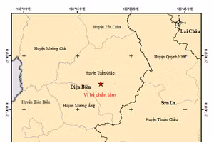 Hình ảnh Bản đồ tâm chấn động đất do Viện Vật lý Địa cầu ghi lại.