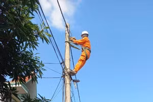 Công nhân Công ty Điện lực Điện Biên kiểm tra, sửa chữa lưới điện.