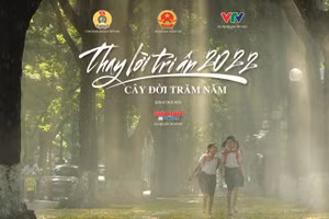 'Thay lời tri ân' năm 2022 với chủ đề Cây đời trăm năm