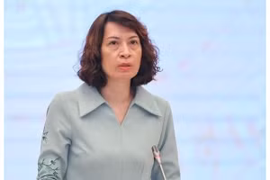 Thứ trưởng Y tế Nguyễn Thị Liên Hương. Ảnh: VGP.