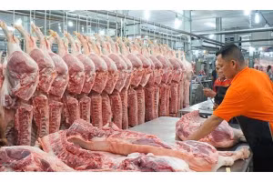 Chỉ đạo điều hành của Chính phủ, Thủ tướng Chính phủ ngày 22/7