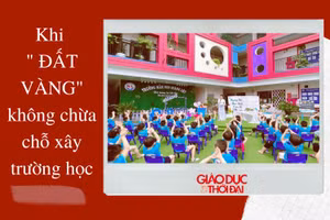 NÓNG 247| Khi 'đất vàng' không chừa chỗ xây trường học