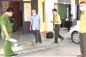 Ông Thuận bàn giao cá thể tê tê cho lực lượng chức năng.