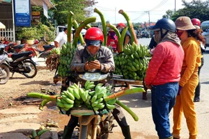 Việc buôn bán diễn ra từ sáng sớm đến chiều muộn.