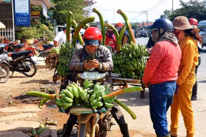 Việc buôn bán diễn ra từ sáng sớm đến chiều muộn.