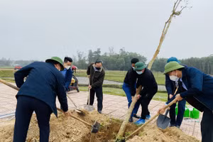 Formosa Hà Tĩnh phủ hơn nửa triệu cây xanh trên 200ha trong khuôn viên nhà máy 