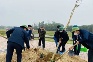 Formosa Hà Tĩnh phủ hơn nửa triệu cây xanh trên 200ha trong khuôn viên nhà máy 