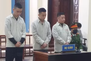 Các bị cáo tại phiên tòa xét xử.