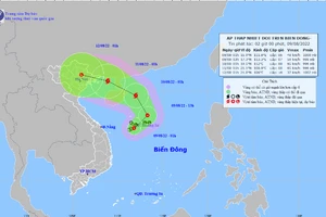 Hình ảnh mây vệ tinh của áp thấp nhiệt đới.