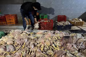 Những hình ảnh kinh hãi bên trong cơ sở.