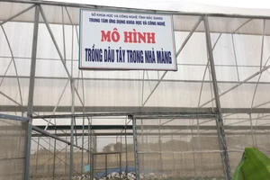 Một góc Trung tâm ứng dụng Khoa học và Công nghệ tỉnh Bắc Giang.