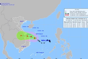 Hình ảnh về cơn bão số 5.