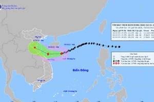 Hình ảnh về cơn bão số 6.