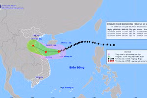Hình ảnh về cơn bão số 6.