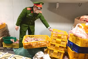 Số thịt lợn nhiễm dịch bị cơ quan công an bắt giữ.