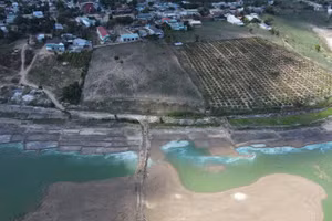 Qua kết quả phân tích mẫu nước tại hồ Ya Ly thì nước có màu xanh đậm, nổi váng là do dư thừa chất dinh dưỡng.