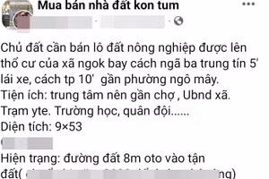 Nhiều thông tin đăng tải bán đất nông nghiệp trên Facebook.