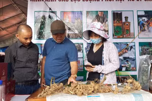 Du khách đến phiên chợ tham quan, mua sâm Ngọc Linh.