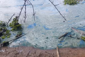 Đoàn kiểm tra bước đầu nhận định nước có màu xanh, nổi váng là do dư thừa các chất dinh dưỡng (ni-tơ và phốt-pho).