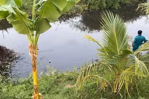 Con suối nơi 2 chị em tử vong.