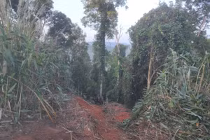 Xe tải lao xuống vực khiến 6 người tử vong và 3 người khác bị thương.