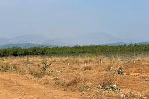 Lô đất của người dân tại phường Ngô Mây bị một số đối tượng tự ý phân lô, cắm cọc rao bán.