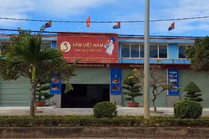 Công ty Cổ phần đầu tư Sâm Việt Nam không sở hữu 10 ha Sâm Ngọc Linh như đã công bố.