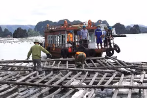 Lực lượng chức năng tháo dỡ, cưỡng chế khu vực nuôi trồng thủy sản trái phép trên vùng biển TP Cẩm Phả hồi tháng 8/2022.