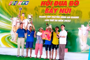 Ban tổ chức trao giải Nhất cho chủ nhân đôi bò đạt giải.