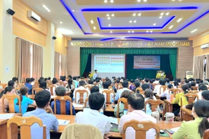 An Giang tập huấn xây dựng ma trận đề kiểm tra môn Toán tiểu học thực hiện Chương trình GDPT 2018.