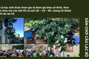 Hình ảnh các em học sinh cùng tham gia trải nghiệm tại không gian vườn sinh thái ngay tại trường. 