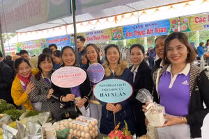 Các sản phẩm sạch được tạo nên bởi hội viên Hội Phụ nữ xã Hải Xuân tại phiên chợ không hóa chất do Hội Liên hiệp Phụ nữ huyện Hải Hậu tổ chức. 