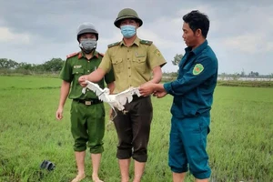 Lực lượng chức năng tháo gỡ, tiêu hủy bẫy chim và giải cứu, thả chim trời về với tự nhiên.