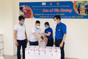 Đoàn viên thanh niên Quảng Bình tình nguyện tiêu thụ vải thiều giúp người dân vùng dịch Bắc Giang.