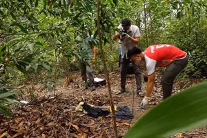 Lực lượng chức năng tiến hành khám nghiệm hiện trường nơi có dấu vết của nghi phạm để lại.