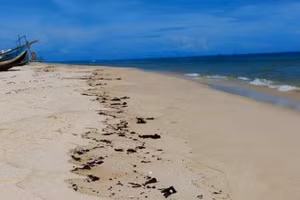 Dầu loang vón cục xuất hiện trước đó dọc bờ biển xã Hải Ninh, huyện Quảng Ninh, tỉnh Quảng Bình vào ngày 31/8.