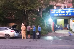 Lực lượng chức năng kiểm tra xe