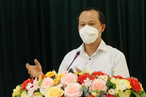 Phó Chủ tịch UBND tỉnh Bắc Giang Mai Sơn phát biểu.