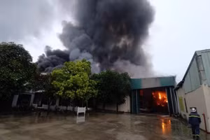  Ngọn lửa bao trùm ra toàn bộ xưởng gỗ.