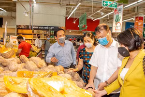 Ảnh minh họa, nguồn IT.