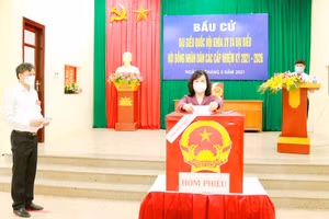 Ủy viên Trung ương Đảng, Bí thư Tỉnh ủy, Đào Hồng Lan bỏ phiếu tại Tổ bầu cử số 2 (Ảnh Báo BN)