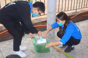 Sinh viên Trường Đại học Điện lực tham gia vệ sinh môi trường ngày chủ nhật.