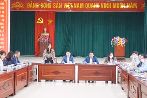 Quang cảnh buổi làm việc.