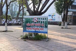 Biển cấm hút thuốc lá trong trường học.