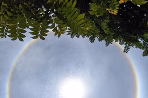 Mặt trời với một quầng sáng hình tròn bao quanh trên bầu trời tại thị trấn Mường Lát (Mường Lát, Thanh Hóa). Ảnh: Xuân Tuấn