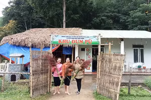 Điểm lẻ Mầm non ở đỉnh Đun Pù, xã Nam Xuân, huyện Quan Hóa, (Thanh Hóa).