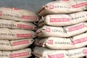 Công ty TNHH Long Sơn bị xử phạt gần 600 triệu đồng.